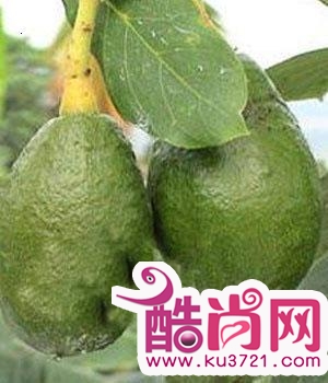 瘦身妇科女性网美体瘦腰